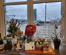 Aquarium Seerose, Zoofachgeschäft S. Leuch Bild 6