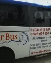 dimarbus01.jpg
