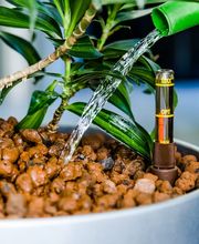 Ströer Innen- und Außengrün Bild 6