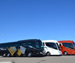 Maraschio Bus immagine 2