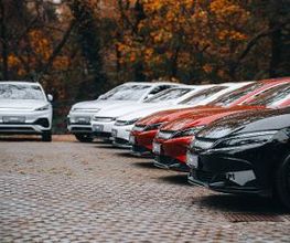 BYD - STERNAUTO Bild 7