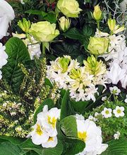 Rambert Fleurs image 2