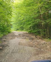 All Access Real Estate image 12