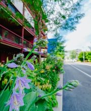Matter Garten AG Bild 5