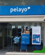 Oficina Seguros Pelayo imagen 1