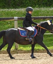 Club équestre St Julien image 8