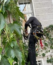 Klempnerei & Dachdeckerei Nico Alscher Bild 2