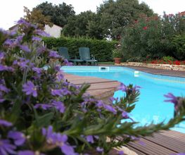 Piscine Passion image 9