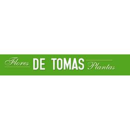 floristeriadetomas.JPG