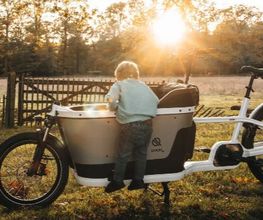 vit:bikes e-Bike Welt Limburg Bild 5