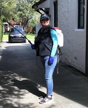 SafeHaven Pest Control image 12