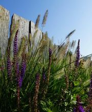 M&M Gartenbau AG Bild 14