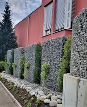 Kummer Gartenbau - Pflanzenoase Bild 9