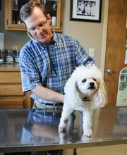 Crysler Animal Hospital image 14