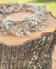 Couleur Nature image 8