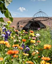 Gartenkultur Daniel Ruprecht AG Bild 7