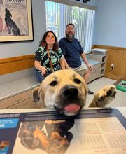 Ormond Beach Family Vet image 6