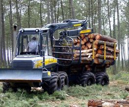 ALLIANCE Forêts Bois image 6