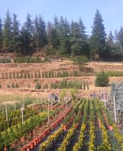 Can Jover Cultius imagen 5