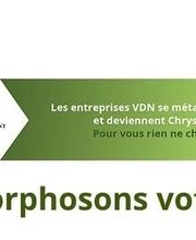 Chrysalide image 1