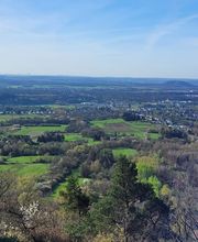 FriedWald Litermont Bild 1