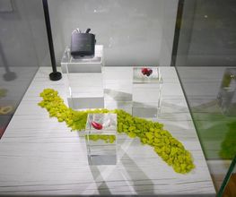 braun Hörgeräte Emmendingen Bild 19