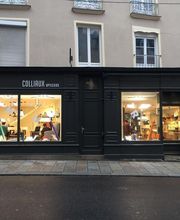Colliaux Opticiens image 7