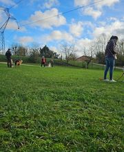 Bien dans ses Pattes image 12