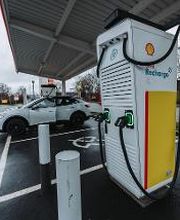 Shell Bild 2