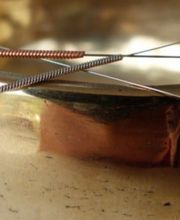 Praxis für TCM und Akupunktur - Martina Hack Bild 5