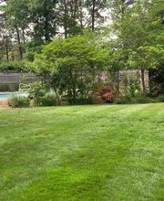 Brace Lawn Care image 9