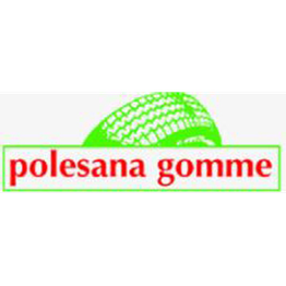 Polesana Gomme logo
