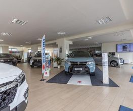 Gallery Cliente
