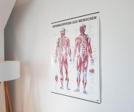 NOVOTERGUM Physiotherapie Euskirchen Bild 4
