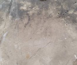219787975-1-tLV3oYFLw41727163863832.jpeg