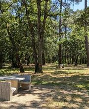 bp pulse Charging Station image 10