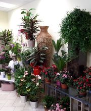 Sand'tia Creations image 4