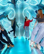 Museum of Illusions - Salt Lake City image 4