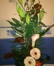 Flowers madness image 12