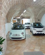Gallery Cliente