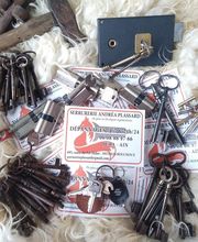 Serrurerie Andrea Plassard image 5