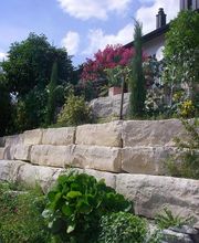 Gartenservice Küttigen Jakob Hauenstein AG Bild 4