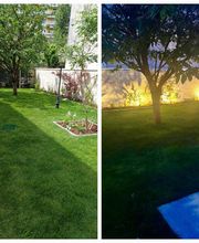 Jardin -Sy image 8