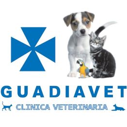 Guadiavet_Clinica_Veterinaria_Badajoz.jpg