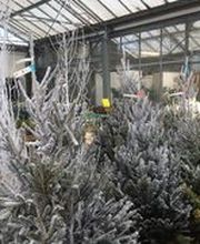 Jardinerie Du Gua image 1