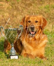 La Pouponnerie image 20