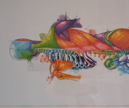 solveda MED Bild 14
