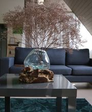 Yoga Cristian Bolliger Bild 2