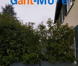 GartenPflanzen.png