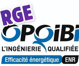 AIN FO - EXPERTISE image 2